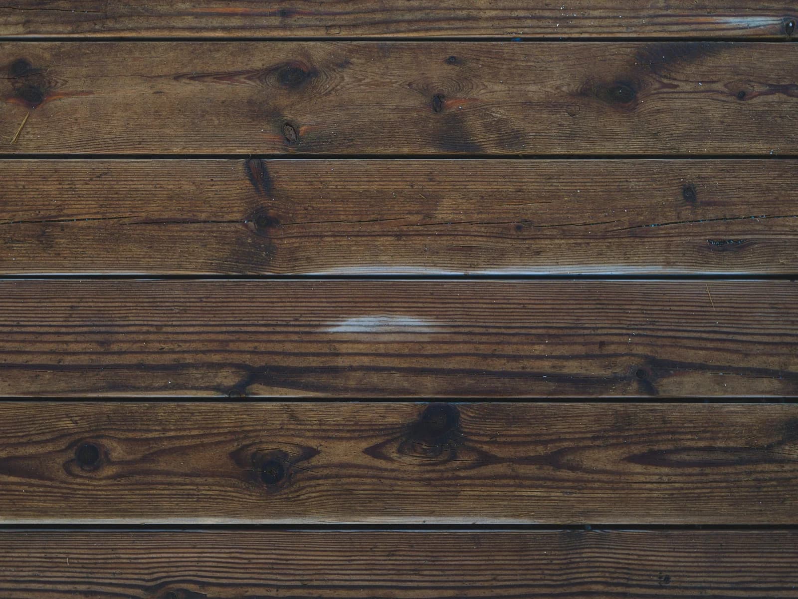 How Wood Pallets Are Made: From Forest to Final Product
