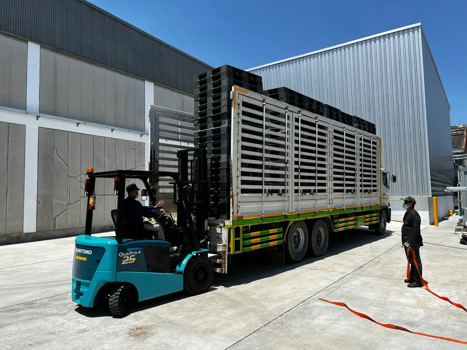 International Pallet Standards: Understanding the Complexities of Global Regulations