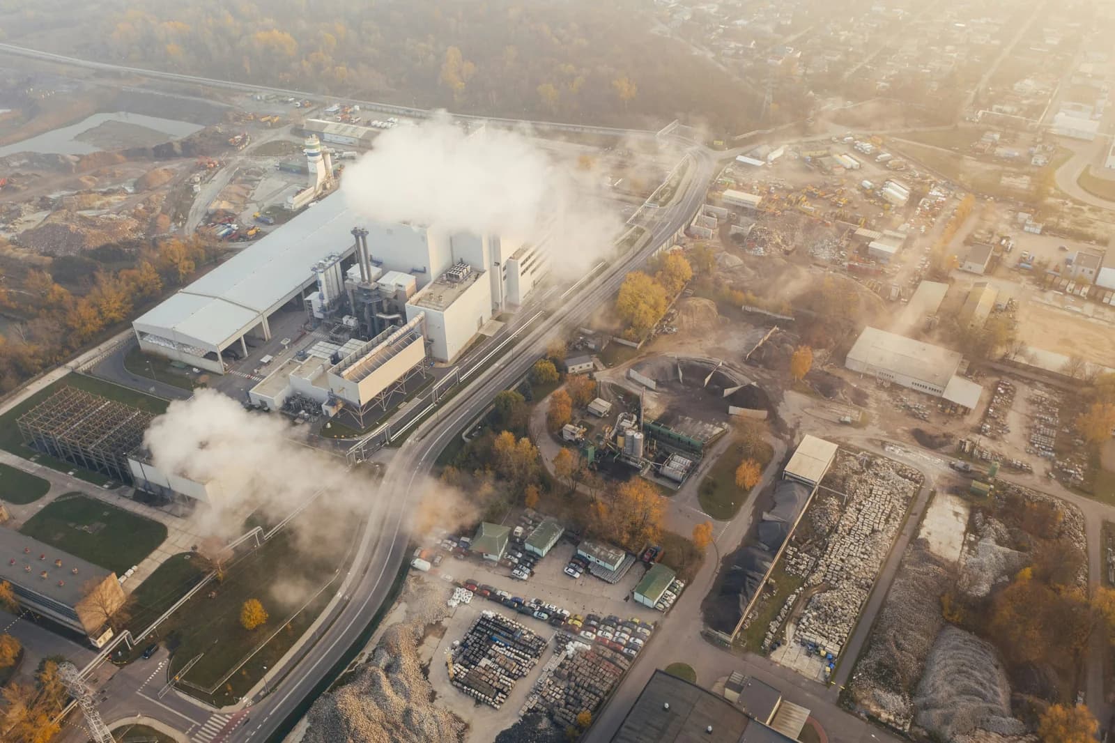 Reducing Carbon Emissions Through Smarter Pallet Sourcing