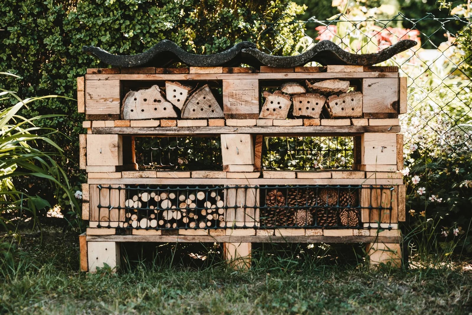 Repurposing Pallets: From Warehouse to Wonder