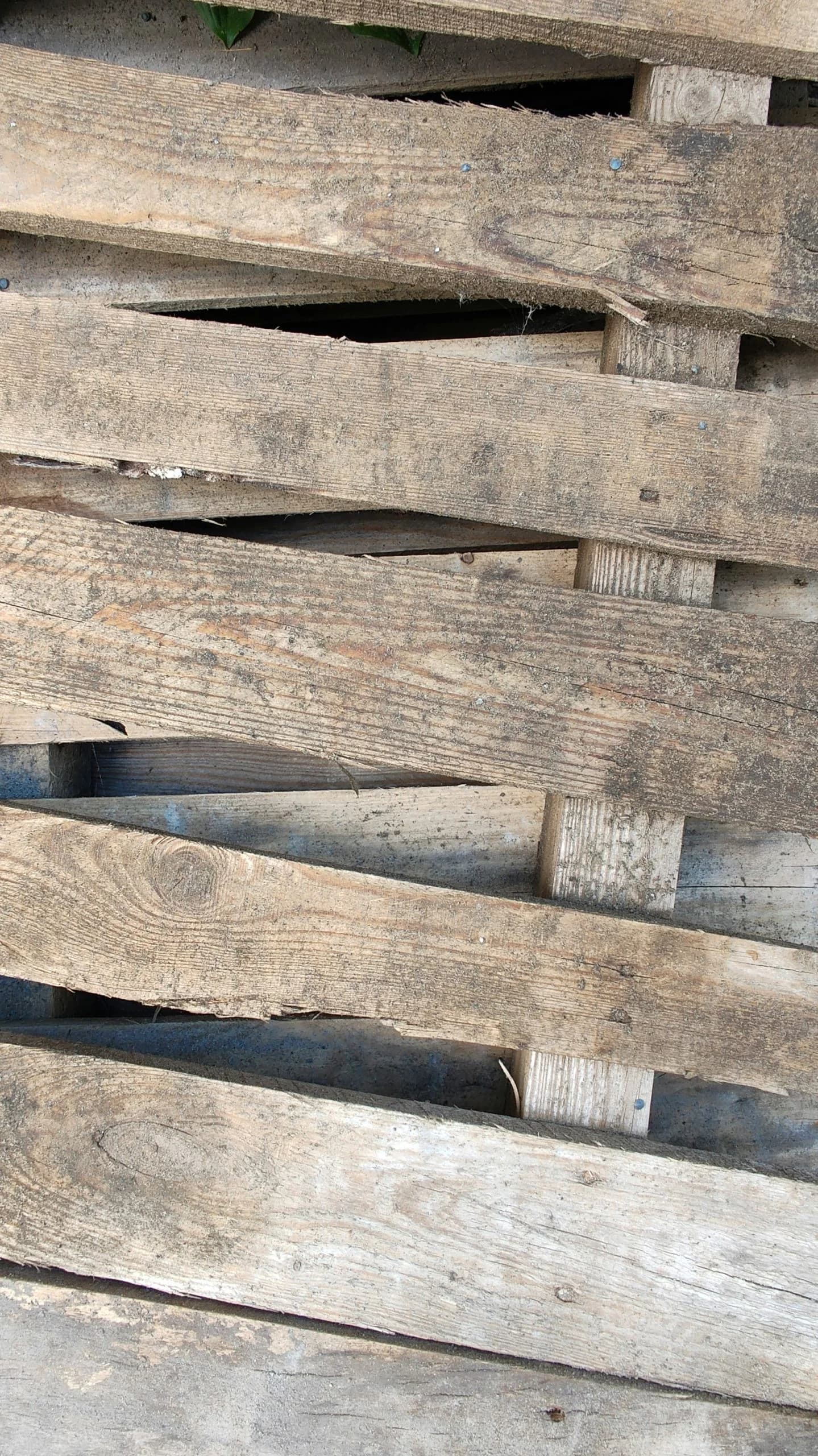 Pallet Grades: A Comprehensive Consumer Guide to Quality Levels