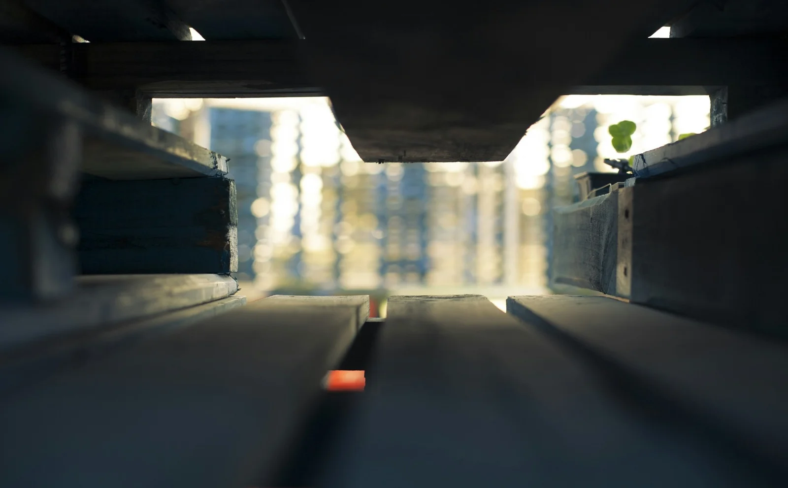 The Future of Pallets: Sustainable Materials and Designs