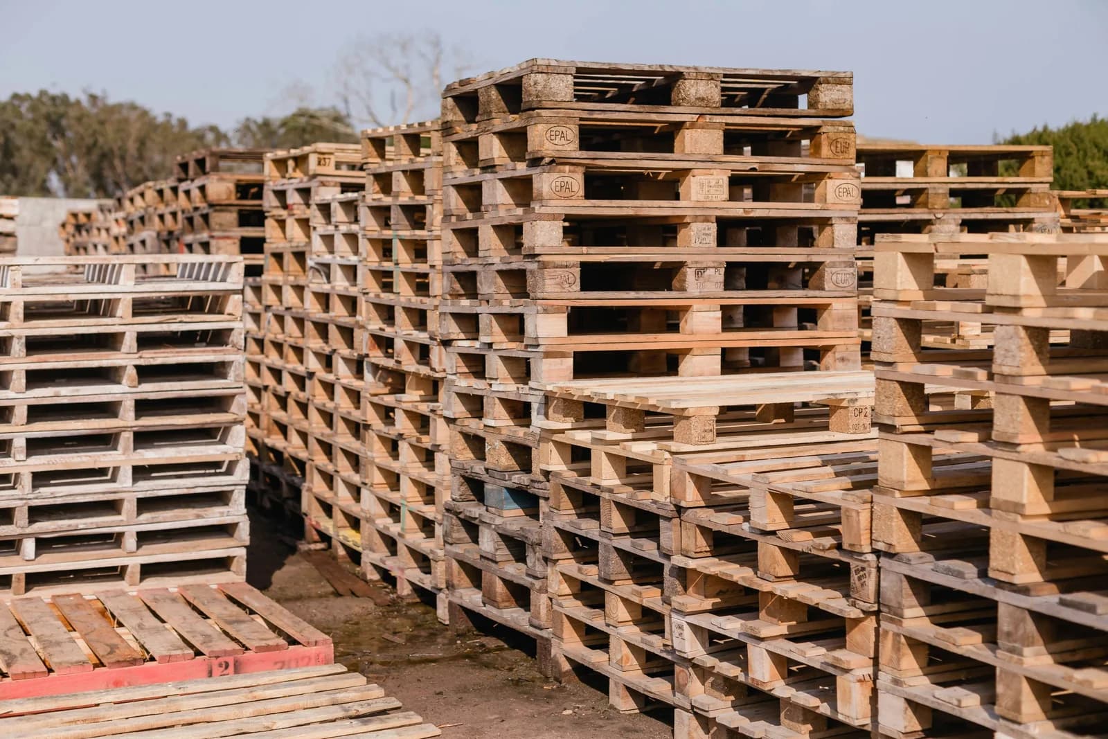 Reducing Pallet Waste: Steps to Lower Disposal and Improve Recovery Rates