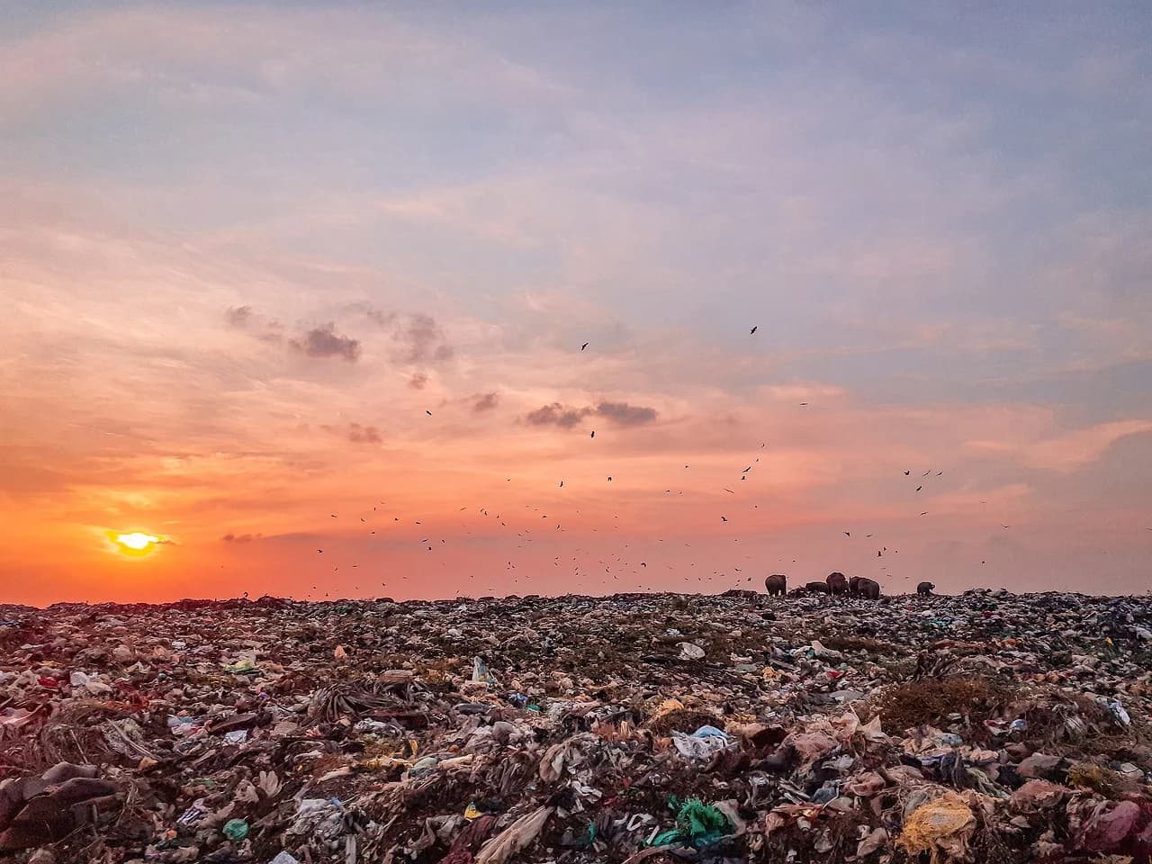 How a Pallet Recycling Program Saves You Money and Supports ESG